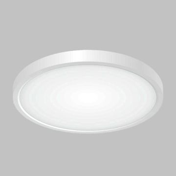 PLATTER 300 | 24 W IP44