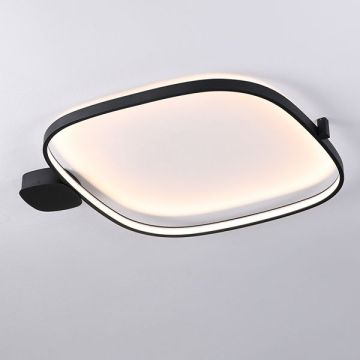 RING NS.850 | 4230 B