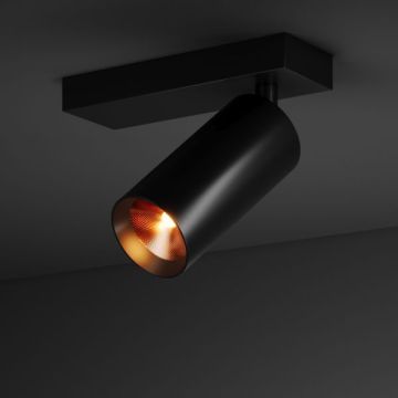 SPY BASE 55 | 1230 B