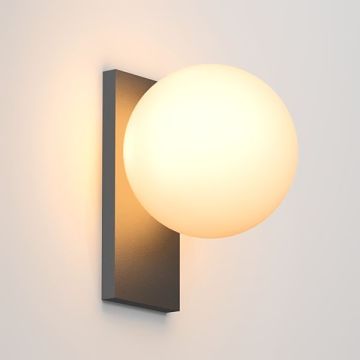 SHAR PLATE 100 | 0630 B