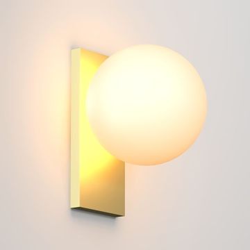 SHAR PLATE 100 | 0630 G