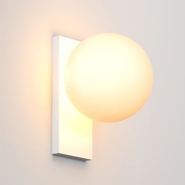 SHAR PLATE 100 | 0630 W