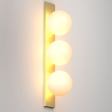 SHAR PLATE 100 | 1830 G