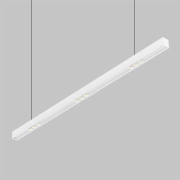 DOT LINE 1500 | 4530 W