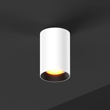 BABY ROLL 55 | 0630 W