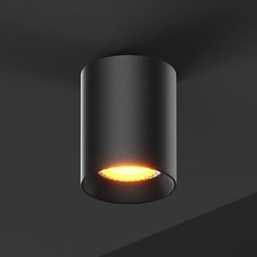 BABY ROLL 75 | 0830 B