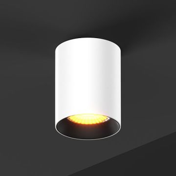 BABY ROLL 75 | 0830 W