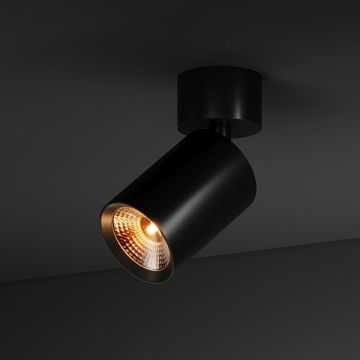 BABY SPOT 55 | 0830 B