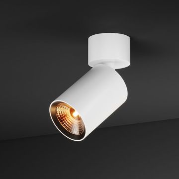 BABY SPOT 55 | 0830 W