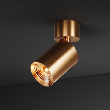 BABY SPOT 55 | 0830 G