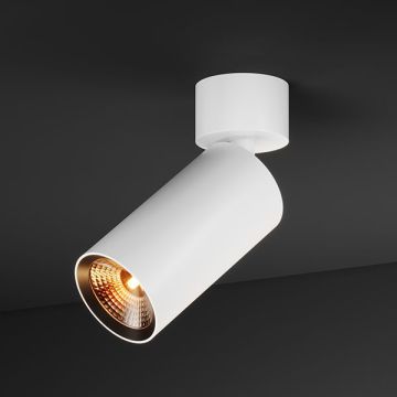 BABY SPOT 55 | 1230 W