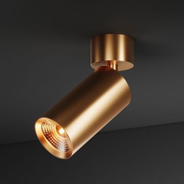 BABY SPOT 55 | 1230 G