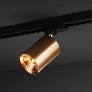 BABY 55  | 0830 G 2TR