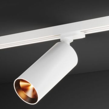 SPY 65  | 2430 W 2TR