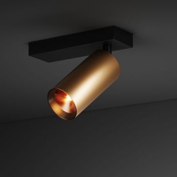 SPY BASE 55 | 1230 G